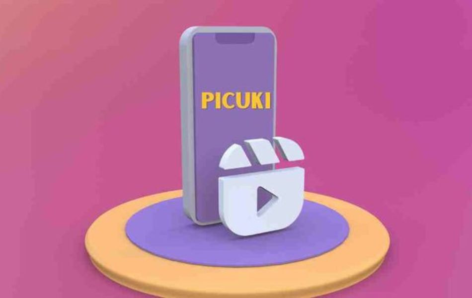 How to Utilize Picuki Instagram Stories for Maximum Engagement
