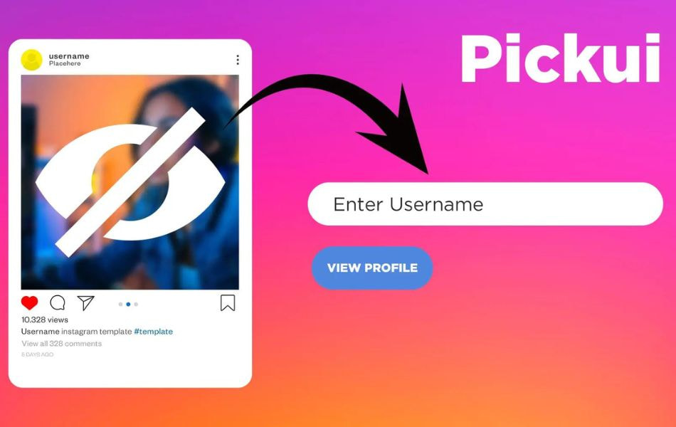 What are Picuki Instagram Stories?