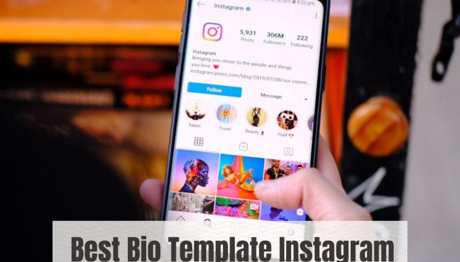 bio template instagram