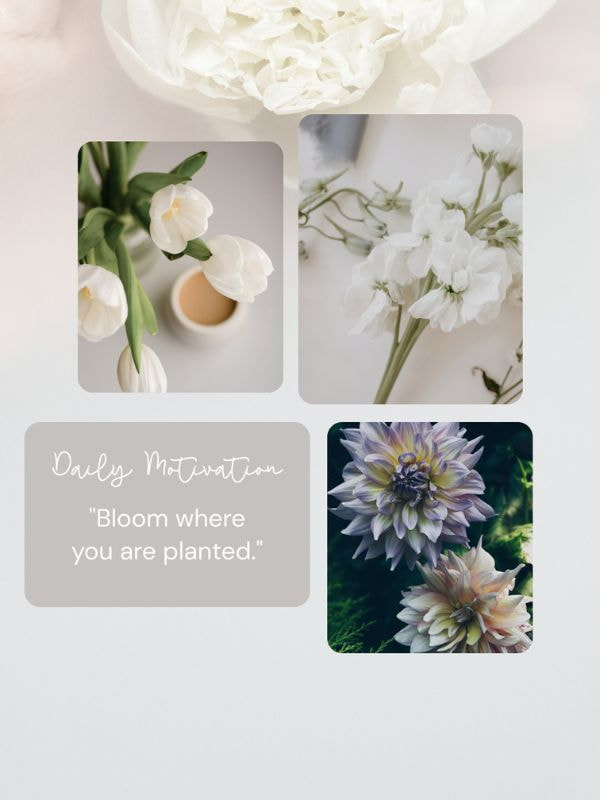 Flower layout - best template form Art Story Maker