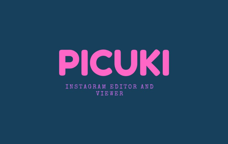 What is Picuki's Instagram Story